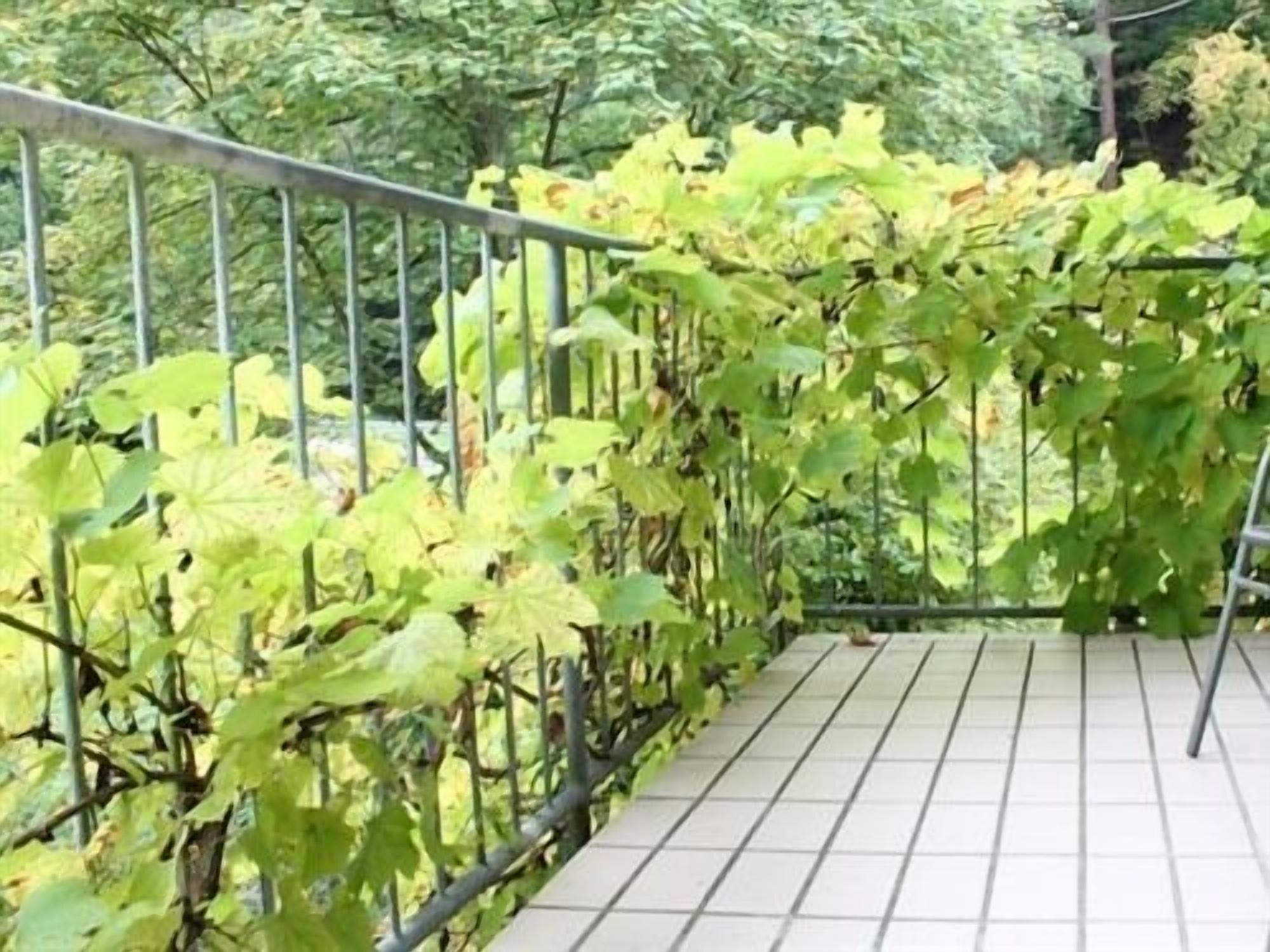 วัลด์โฮเทล ซูร์ วินเนอบวร์ค Hotel โคเคห์ม ภายนอก รูปภาพ